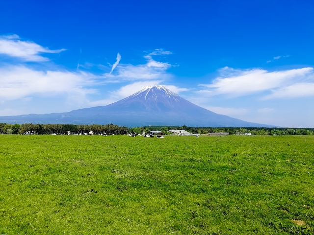 朝霧高原